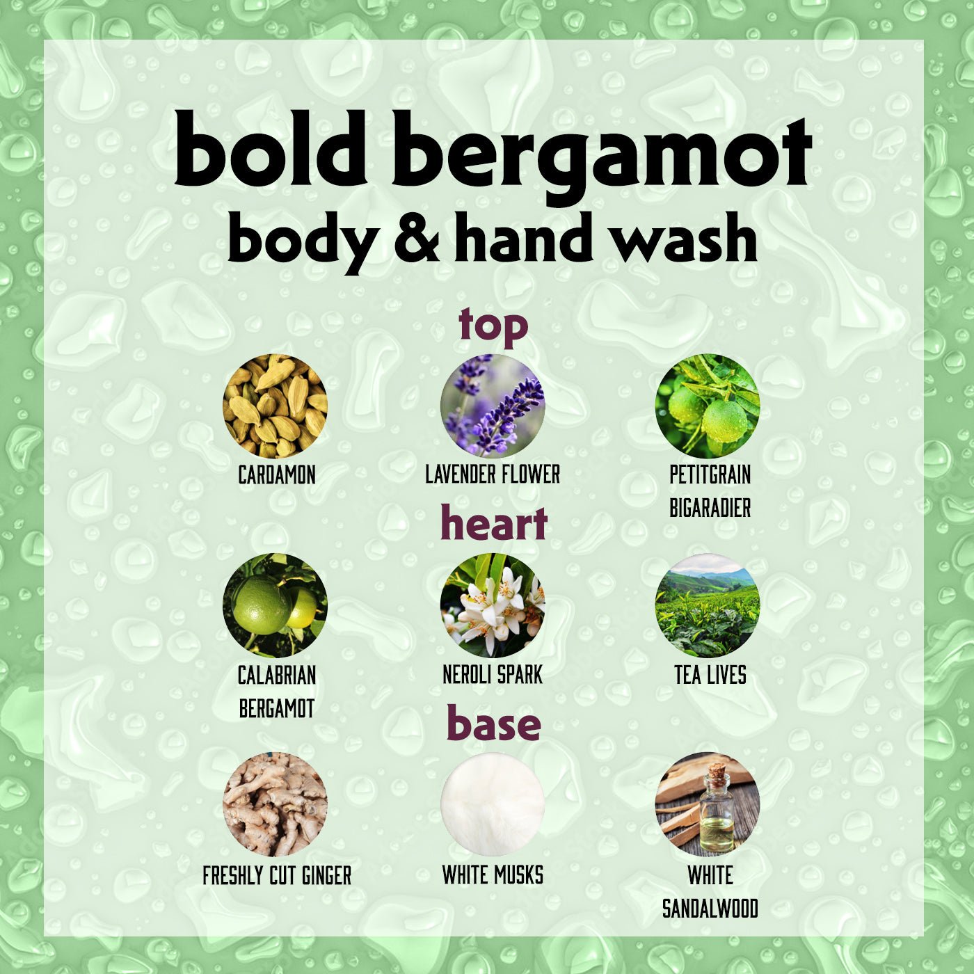 BODY & HAND WASH Bold Bergamot 250ml - Bon Babef