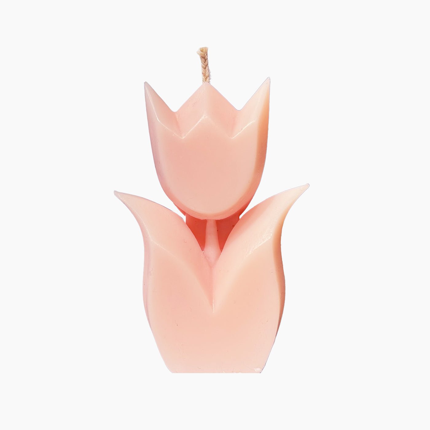 Candle Tulip 9cm - Bon Babef